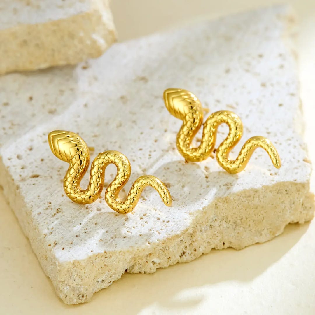 64718 korean snack anti tarnish earring